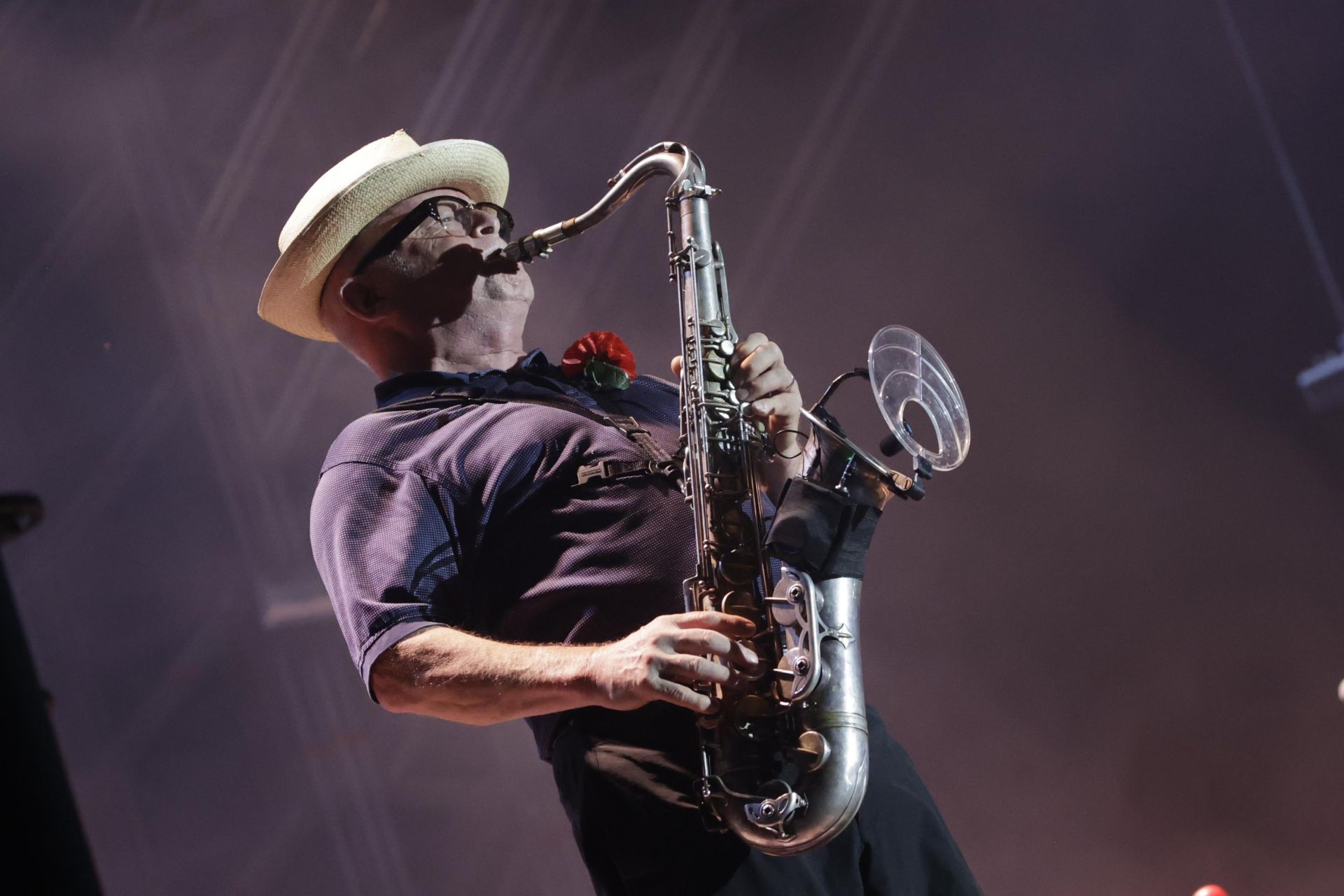 Madness interpretaron sus éxitos más famosos en Sevilla 