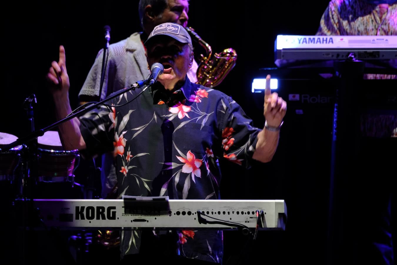 Un momento de la actuación de la banda The Beach Boys en Jerez