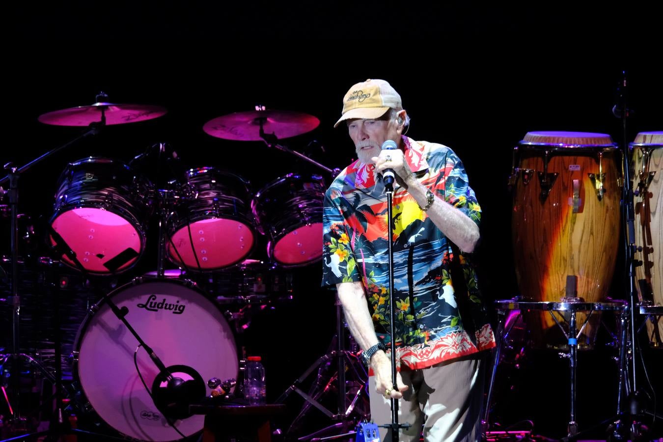 Un momento de la actuación de la banda The Beach Boys en Jerez