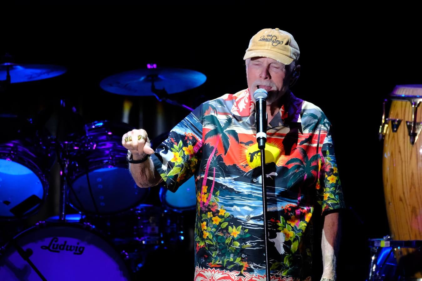 Un momento de la actuación de la banda The Beach Boys en Jerez
