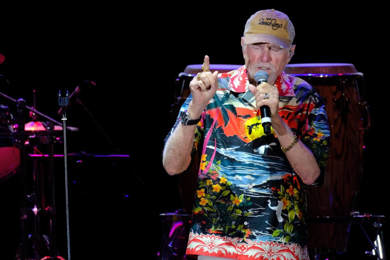 Un momento de la actuación de la banda The Beach Boys en Jerez