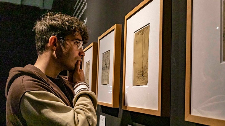 La Casa de la Ciencia acoge en sus instalaciones una exposición en la que se puede aprender mucho sobre el cerebro