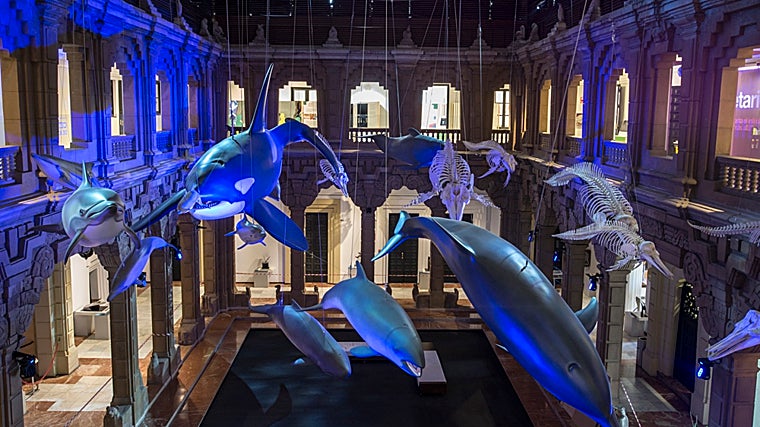 Esta es una de las exposiciones que se puede visitar en las instalaciones de la Casa de la Ciencia de Sevilla