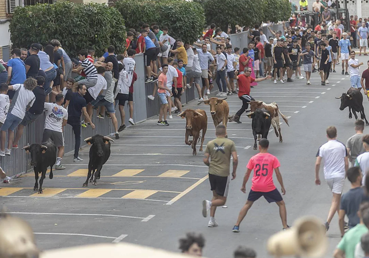 Así es cómo un pueblo de Sevilla celebra un pequeño 'San Fermín' por su feria de septiembre