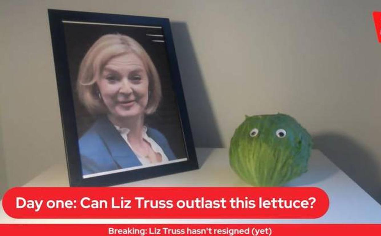 El primer día de la competición entre la lechuga y Liz Truss