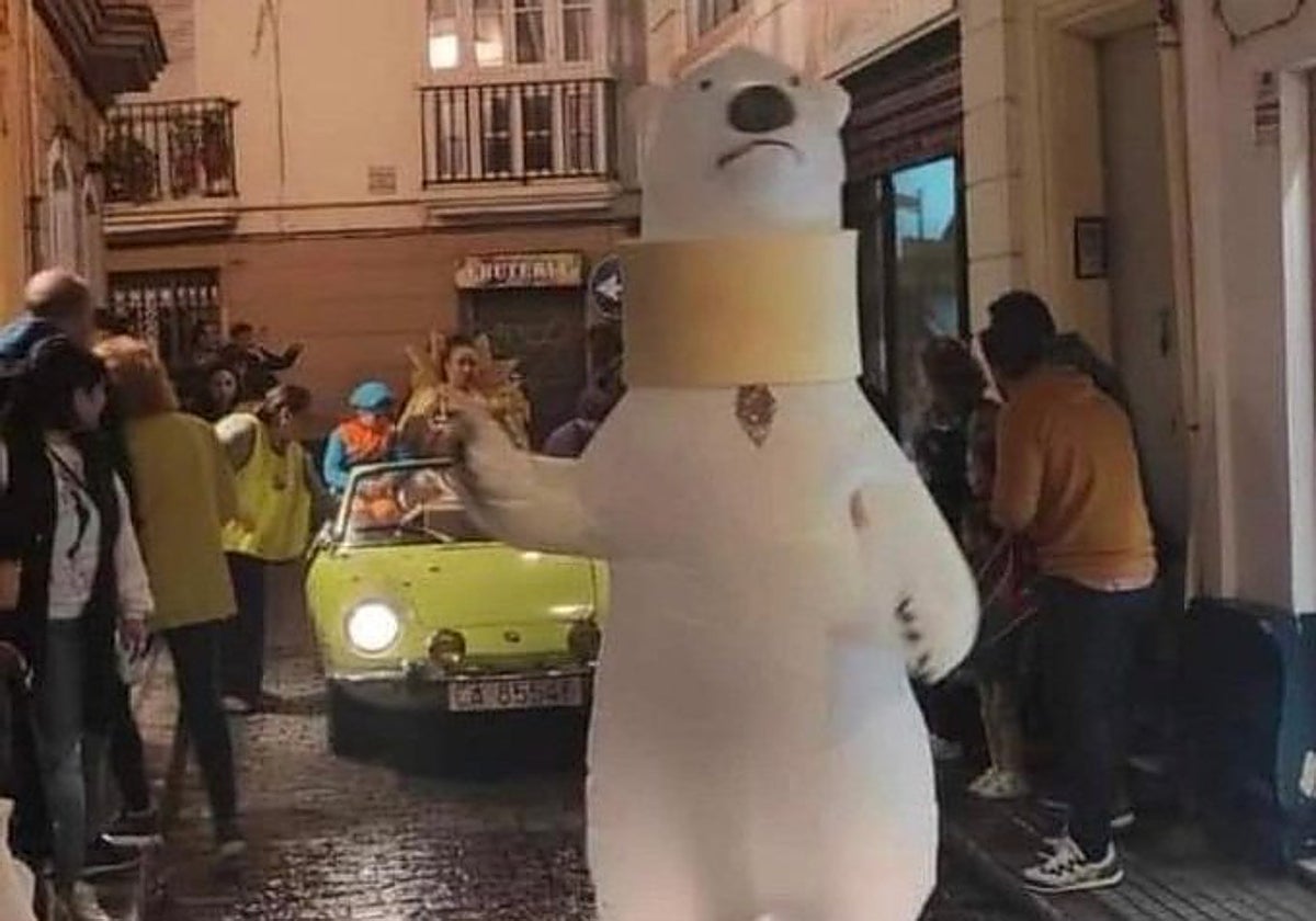 El regreso del oso, en plena recuperación