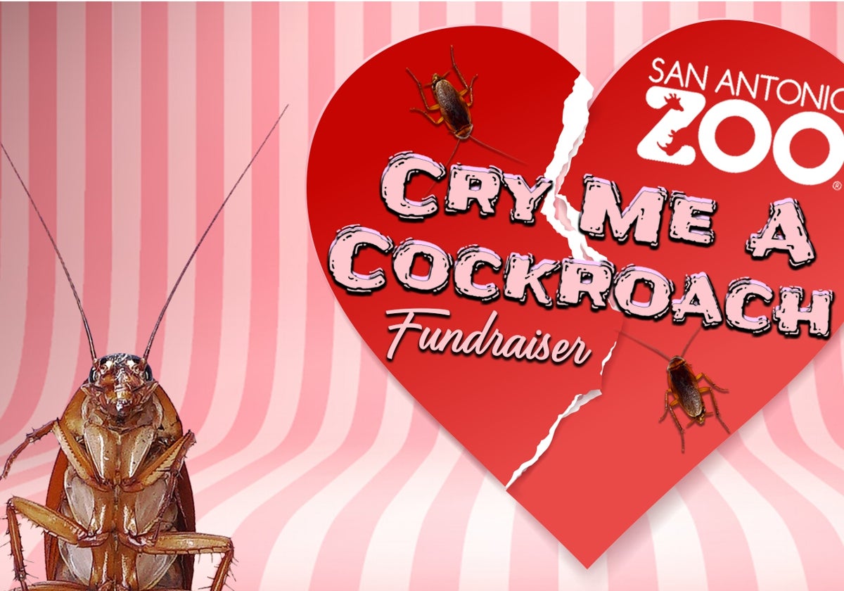 Campaña 'Cry me a cockroach'.