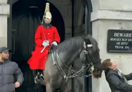 Un caballo de la Guardia Real inglesa muerde a una turista, que no hizo caso a la advertencia