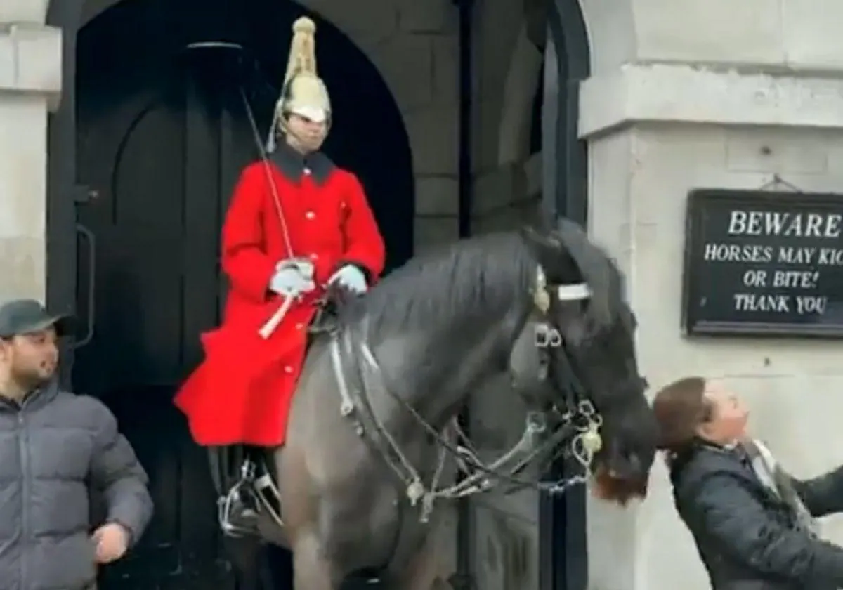 Un caballo de la Guardia Real inglesa muerde a una turista, que no hizo  caso a la advertencia