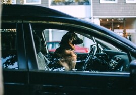 Un hombre detenido por circular a gran velocidad trata de colocar a su perro en el asiento del conductor para librarse de la multa