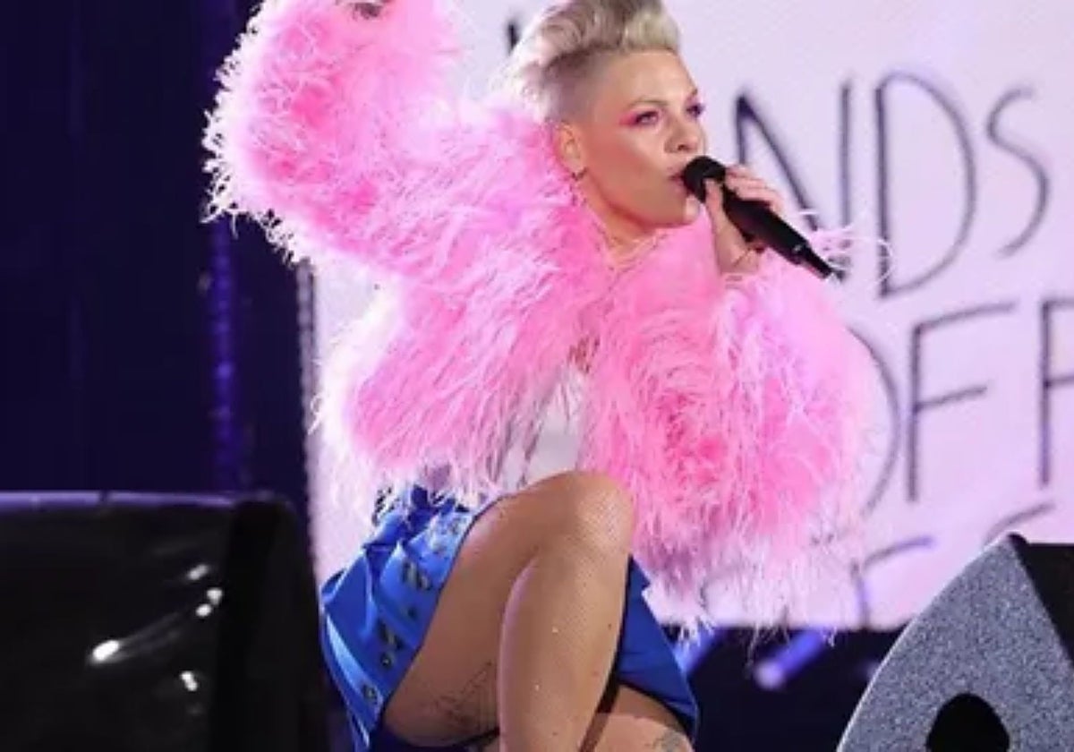 La cantante estadounidense Pink durante un concierto