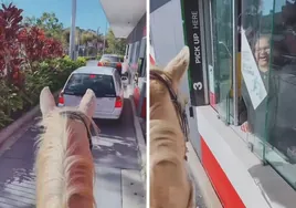 Una mujer va en caballo a un McAuto para pedir un café: «No dice 'no caballos', así que estamos bien»