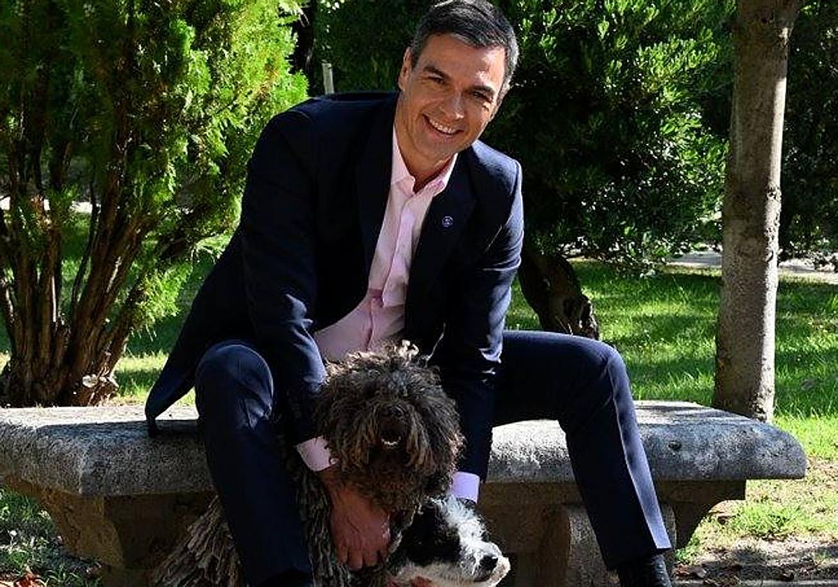 Pedro Sánchez, junto a sus perros