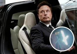 Elon Musk, el peor vecino del mundo: el nuevo logo de Twitter en su sede supone una pesadilla para la convivencia