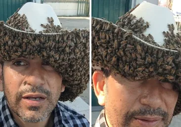 Un mexicano demuestra su relación con las abejas y conmociona las redes: «Están muy tranquilas y cómodas»