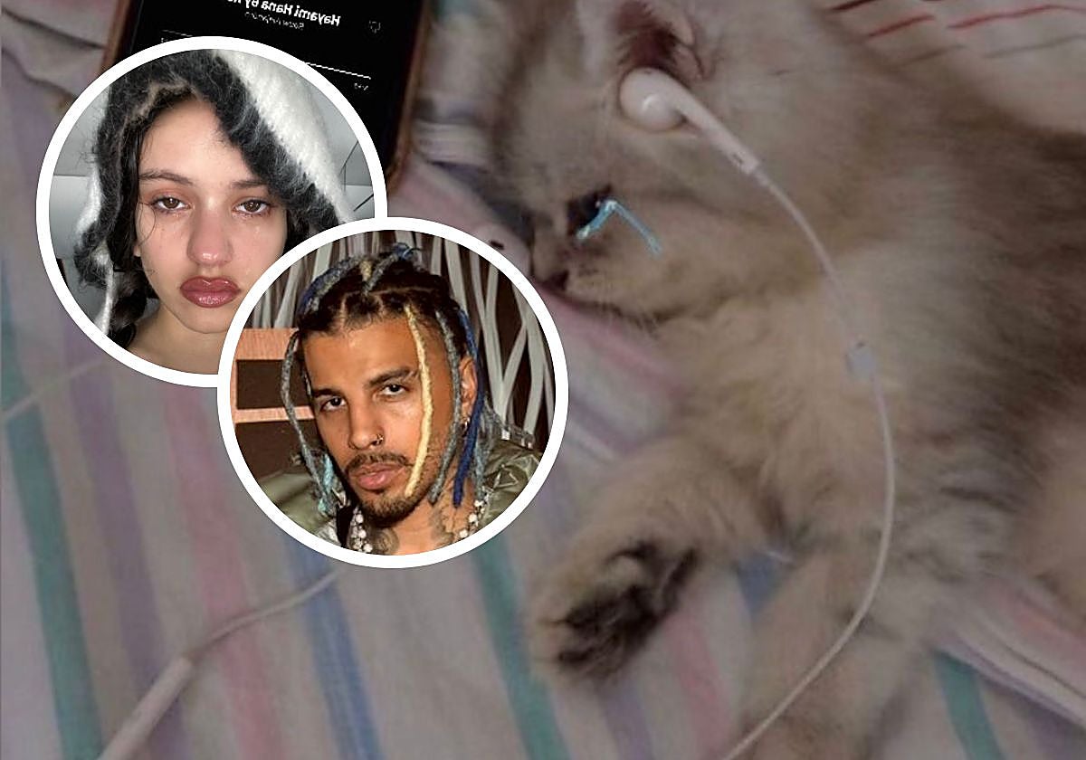 Los seguidores de la pareja quedaron impactados por la letra de la canción, que lleva un mensaje claro y directo hacia Rosalía