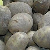 El aviso de una farmacéutica a quienes comen patatas con brotes o color verdoso