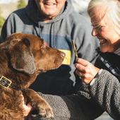 Una anciana deja una herencia de más de 2 millones de euros a sus perros y gatos en lugar de a sus hijos