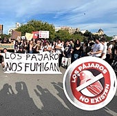 Lo que hay detrás de 'Los pájaros no existen', el movimiento que se ha manifestado en España