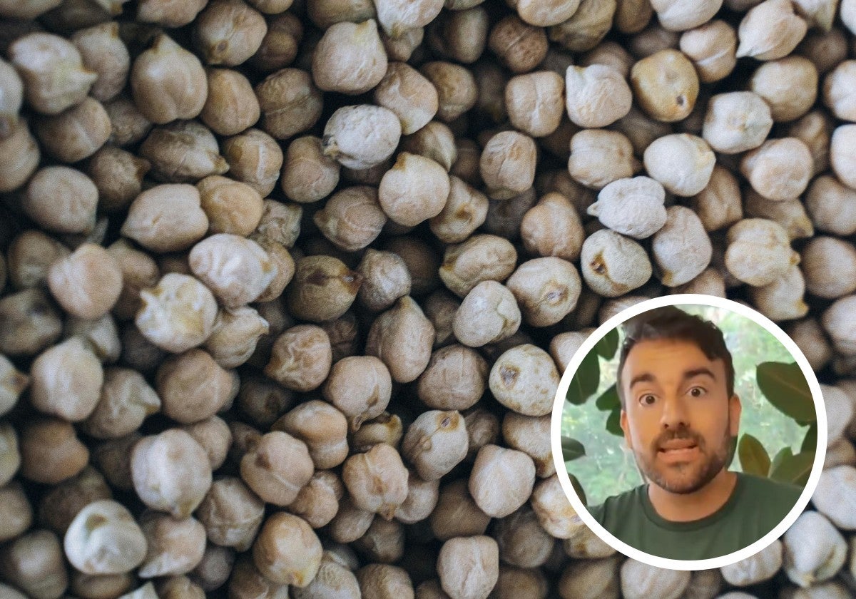 Un nutricionista aclara la duda sobre si son peores las legumbres de bote