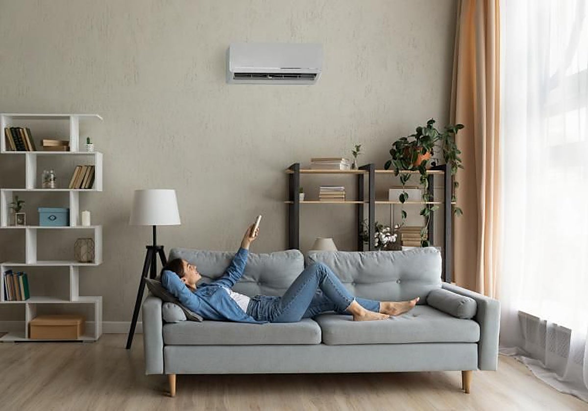 Estas plantas te ayudarán a refrescar tu casa durante el verano: absorben el calor y bajan la temperatura