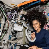 Sunni Williams, la astronauta que lleva más de 200 días atrapada en el espacio explica cómo le está afectando