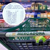 Encuentra un ticket de Mercadona de 2004 y se queda sin palabras por el coste de los productos: «Mirad los precios»