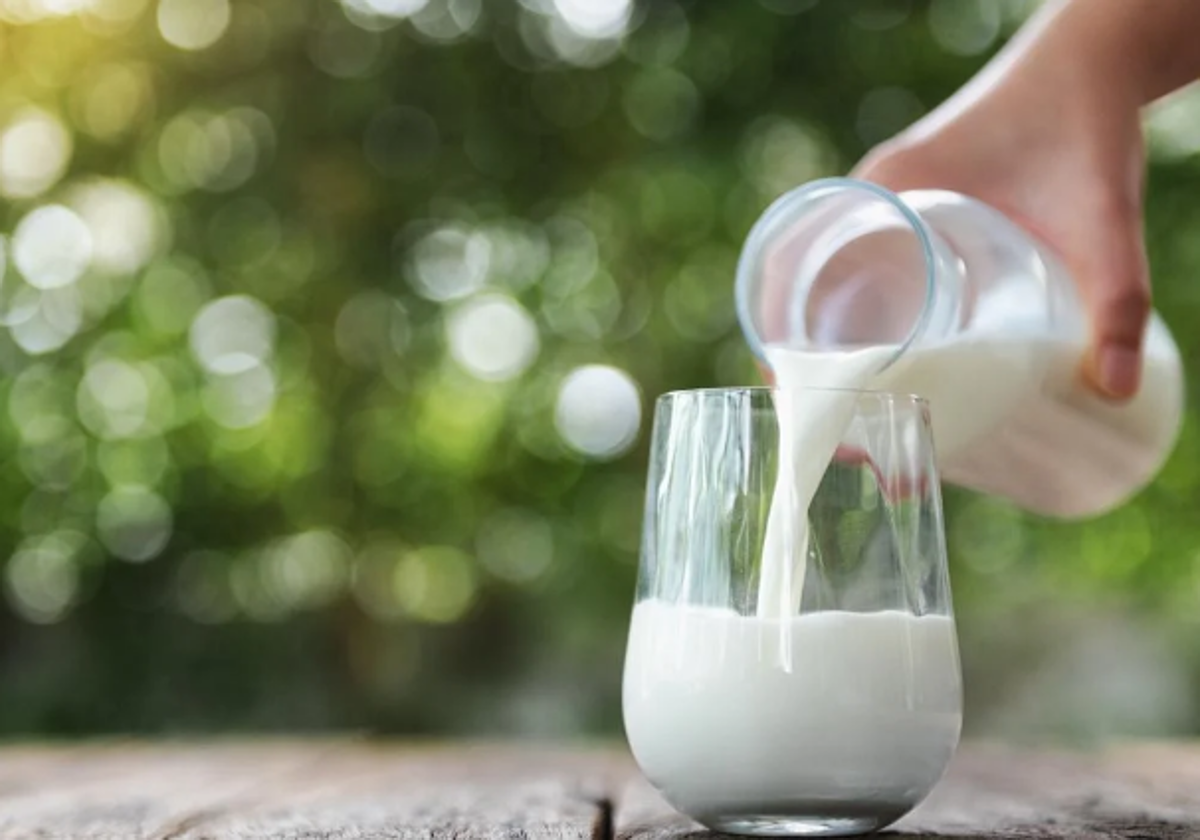 Un médico resuelve el eterno debate sobre la leche