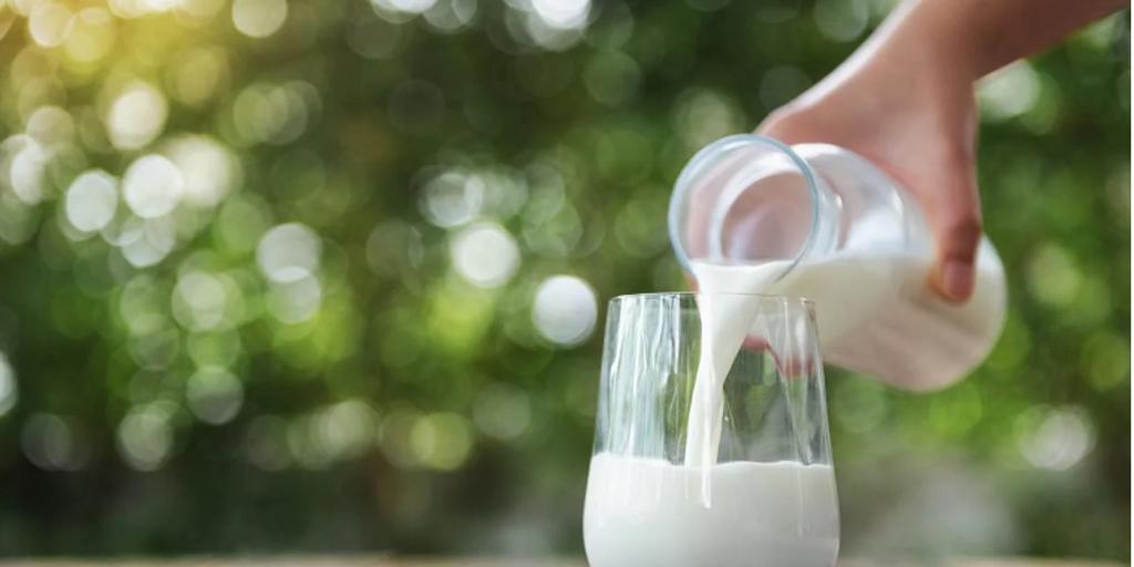 Un médico resuelve el eterno debate sobre la leche: ¿Es buena o mala para la salud?