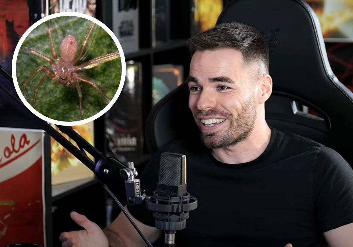 Un biólogo revela cuál es la araña más venenosa de España: «Te puede hacer una buena avería»