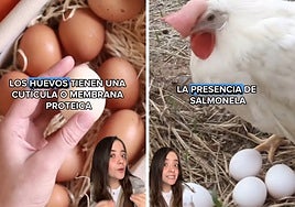 Una ingeniera de alimentos advierte sobre el error que comete mucha gente con los huevos: «Su vida útil disminuye mucho»