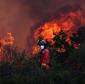 Miguel Bosé dice lo que muchos piensan tras los incendios que han asolado España y señala a los políticos