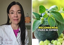 La farmacéutica Helena Rodero explica toda la verdad sobre la ashwagandha: «Algunos países la han prohibido y nosotros...»