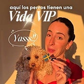 Una española que vive en Suecia, impactada por cómo tratan a los perros en ese país