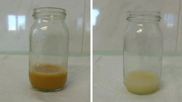 The coloration disappears over time as can be seen in the images: on the left the milk on day 3 and on the right on day 6