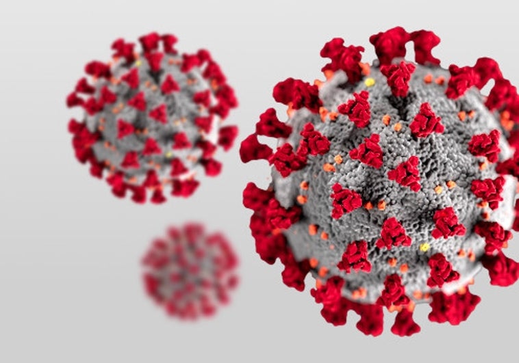 La factura del Covid-19 en cáncer en Europa: 1 millón de casos sin diagnosticar