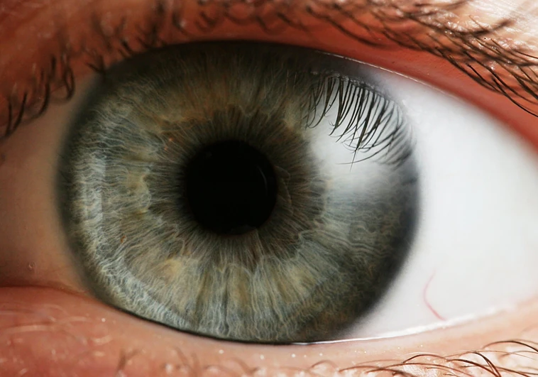 Un simple test ocular predice el riesgo de enfermedad cardíaca