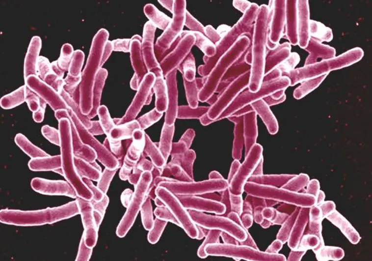 Los  antiácidos, nuevos fármacos para la tuberculosis