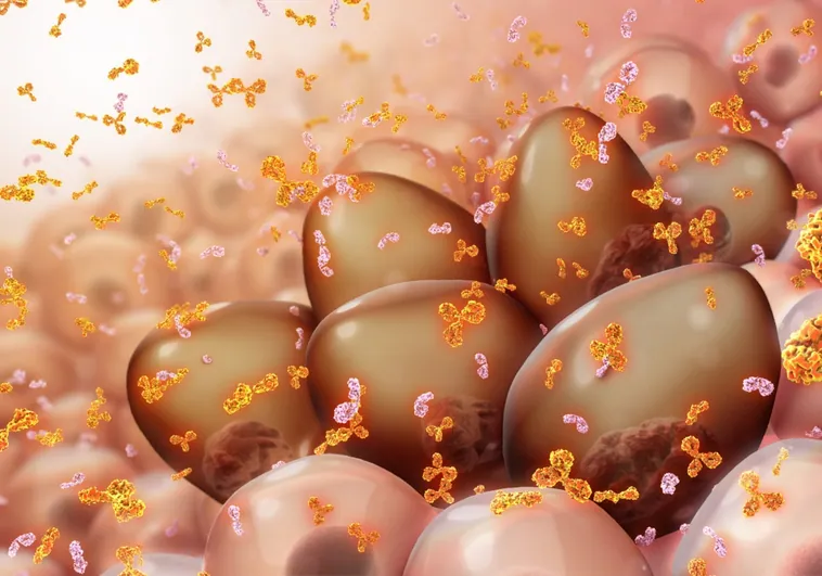 Una terapia celular prolonga la supervivencia en el mieloma más resistente