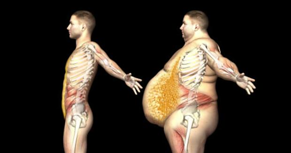 mitad esqueleto mitad humano