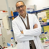 Imagen - No estás eligiendo el sexo de tu descendencia, sino que estás modificando las probabilidades;  pero no es una elección de sexo como tal