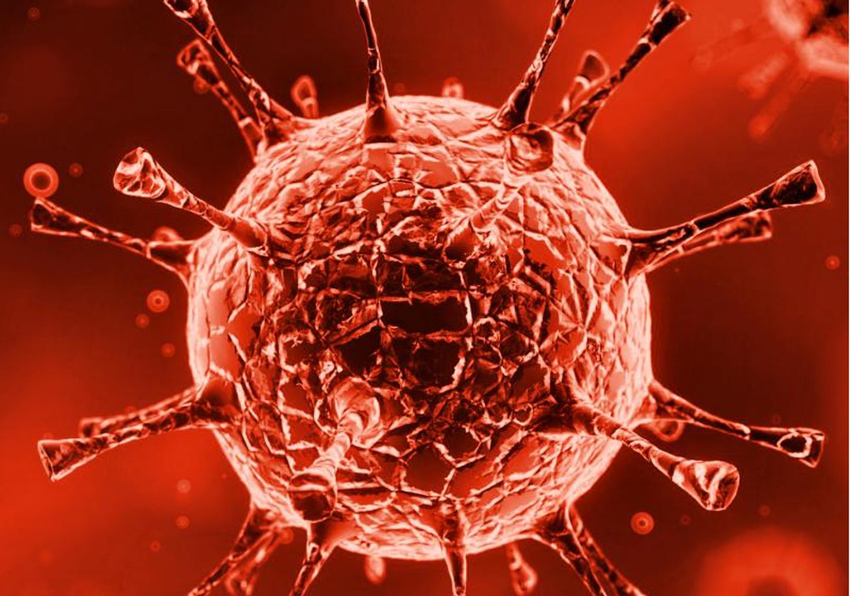 Los enterovirus son un grupo de virus que pueden causar diversas enfermedades infecciosas