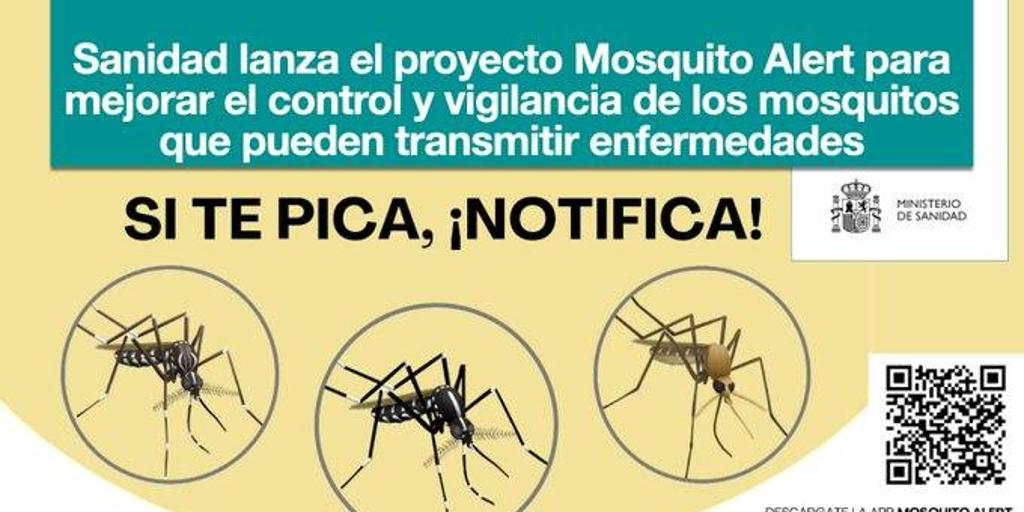 así es ‘Alerta Mosquito’, la nueva app de Sanidad para denunciar picaduras, avalada por Fernando Simón
