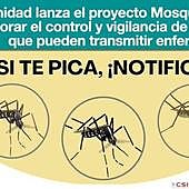 «Si te pica, notifica»: así es 'Mosquito Alert', la nueva app de Sanidad para reportar picaduras, avalada por Fernando Simón