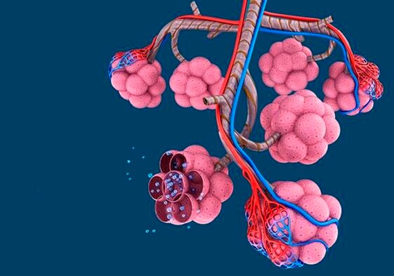 El primer atlas del pulmón revela similitudes celulares entre el covid y el cáncer