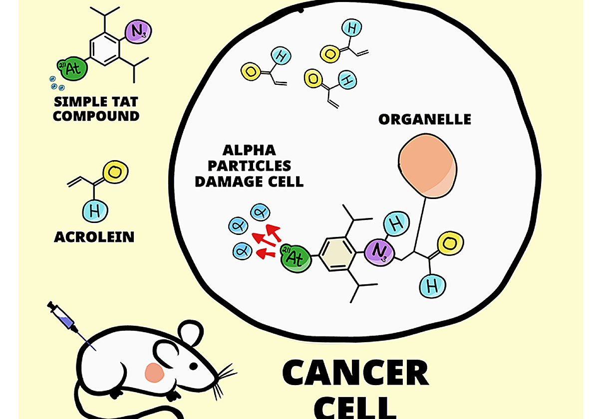 Esquema de cómo funciona esta nueva terapia