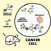 Este tratamiento genérico ataca múltiples tipos de cáncer