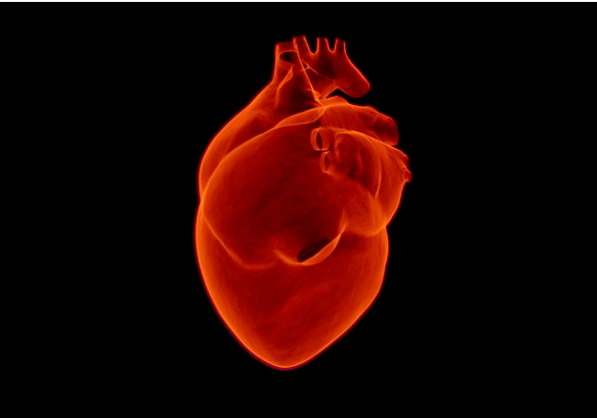 Imagen de un corazón