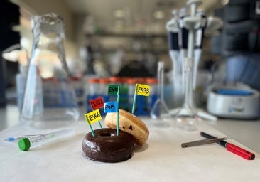 Un experimento con ratones vincula los emulsionantes de la comida procesada con riesgos para la descendencia