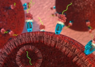 Primera terapia de microARN que retrasa el crecimiento del cáncer